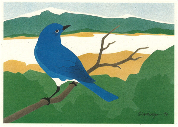 NC182 Mountain Bluebird Notecard