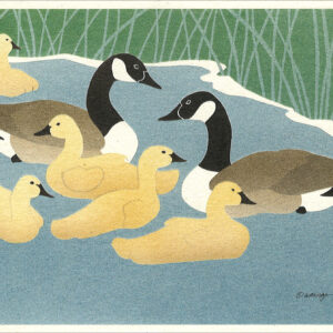 NC185 Canada Geese Notecard