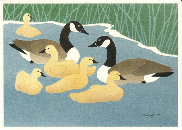 NC185 Canada Geese Notecard