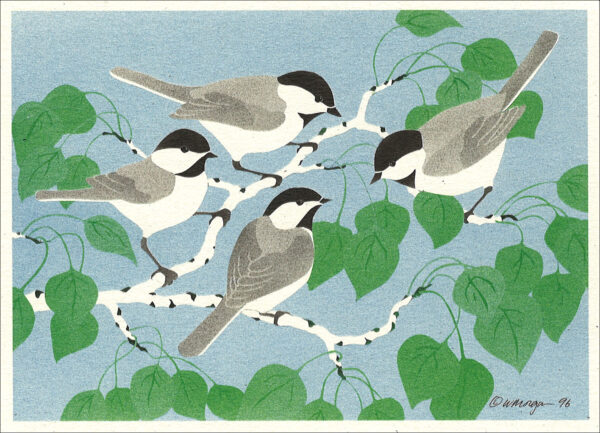 NC186 Black-Capped Chickadees Notecard