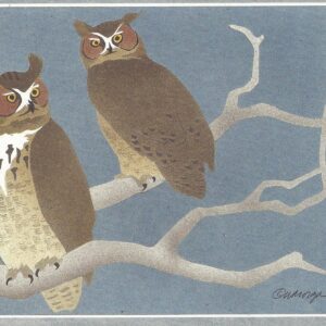 NC188 Great Horned Owls Notecard