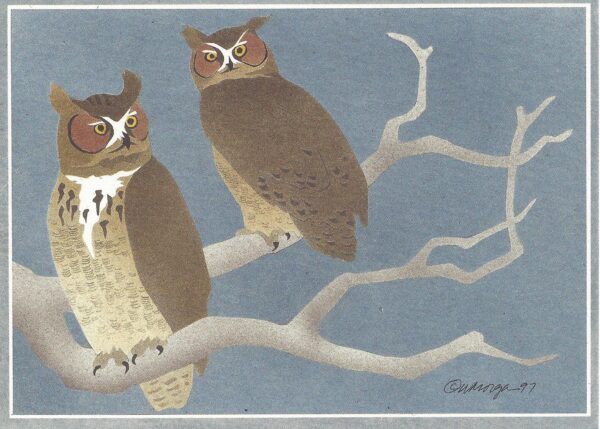 NC188 Great Horned Owls Notecard