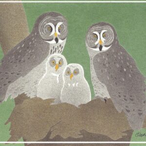 NC189 Great Gray Owls Notecard