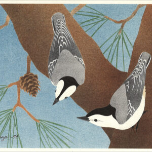 NC196 White-Breasted Nuthatches Notecard