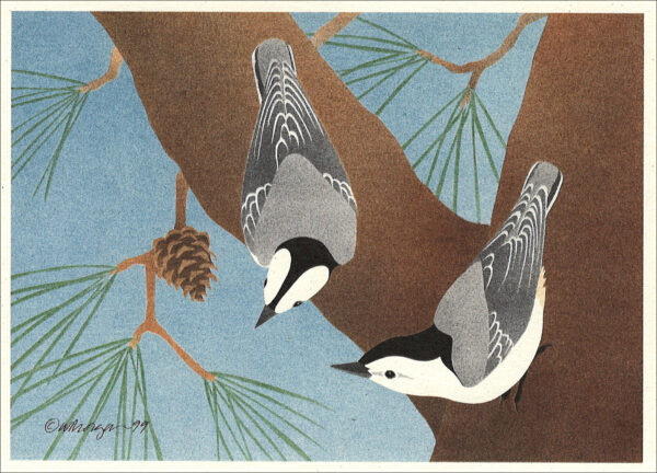 NC196 White-Breasted Nuthatches Notecard