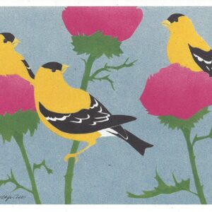 American Goldfinches