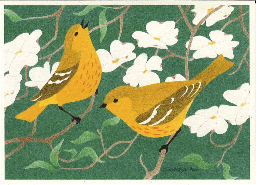 Yellow Warblers