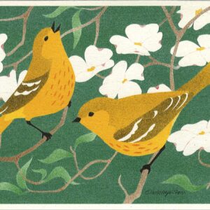 Yellow Warblers