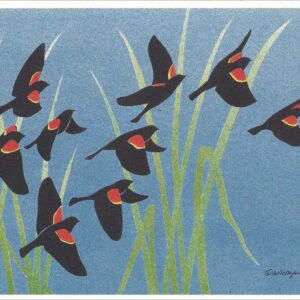 NC210 Red-Winged Blackbirds Notecard