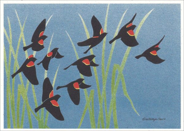 NC210 Red-Winged Blackbirds Notecard