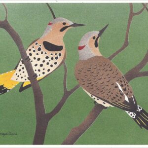 NC213 Northern Flicker Notecard
