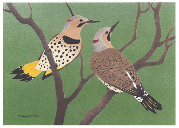 NC213 Northern Flicker Notecard