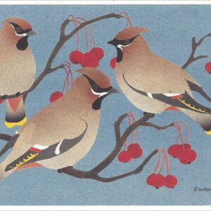 NCNC215 Bohemian Waxwings Notecard