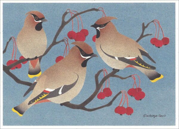 NCNC215 Bohemian Waxwings Notecard