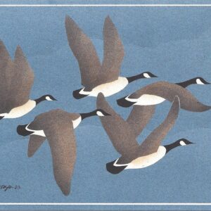 NC222 Flying Canada Geese Notecard