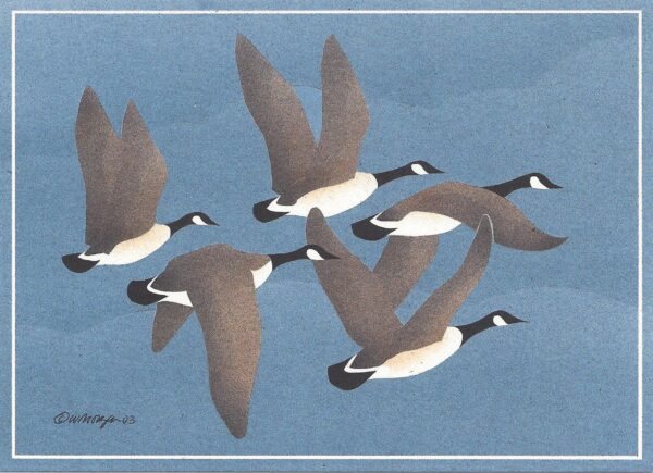 NC222 Flying Canada Geese Notecard
