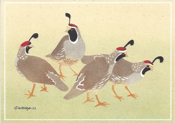NC223 California Quail Notecard