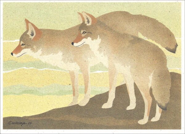 NC229 Coyotes Notecard