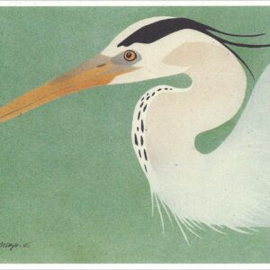 NC231 Great Blue Heron Notecard