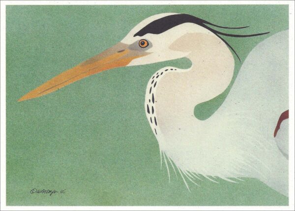 NC231 Great Blue Heron Notecard