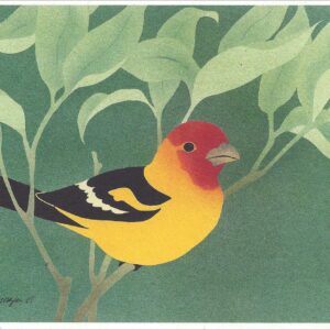 NC232 Western Tanager Notecard