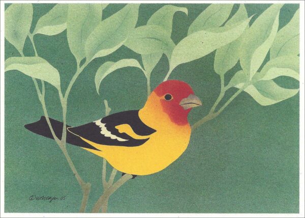 NC232 Western Tanager Notecard