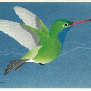 NC233 Broad-billed Hummingbird Notecard