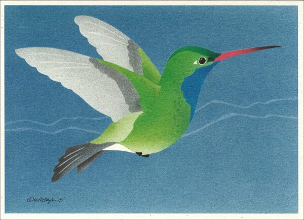 NC233 Broad-billed Hummingbird Notecard