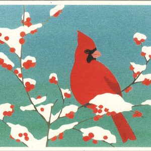 NC247 Northern Cardinal Notecard