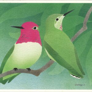 NC248 Anna's Hummingbird Notecard