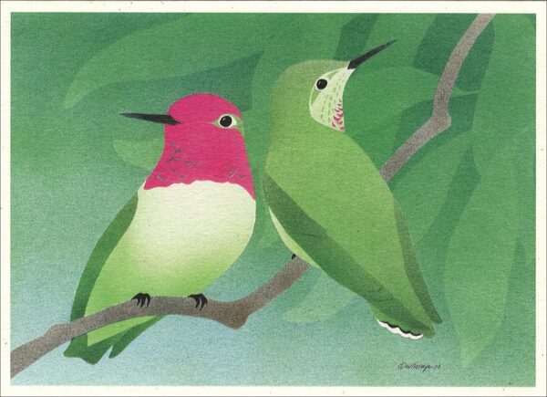 NC248 Anna's Hummingbird Notecard