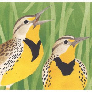 NC252 Western Meadow Larks Notecard Temporarily Out of Stock
