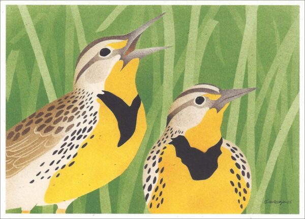 NC252 Western Meadow Larks Notecard Temporarily Out of Stock