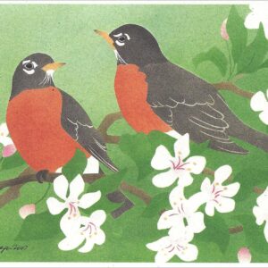 NC256 American Robins Notecard