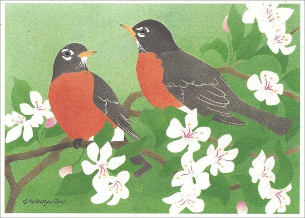 NC256 American Robins Notecard
