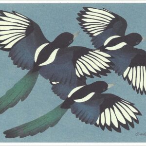 NC258 black-Billed Magpies Notecard