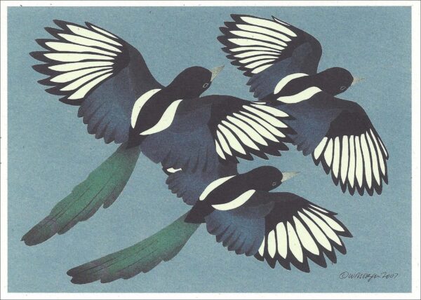 NC258 black-Billed Magpies Notecard