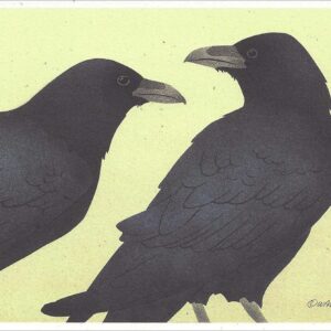 NC259 Common Ravens Notecard