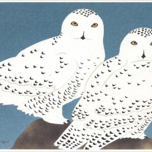 NC260 Snowy Owls Notecard