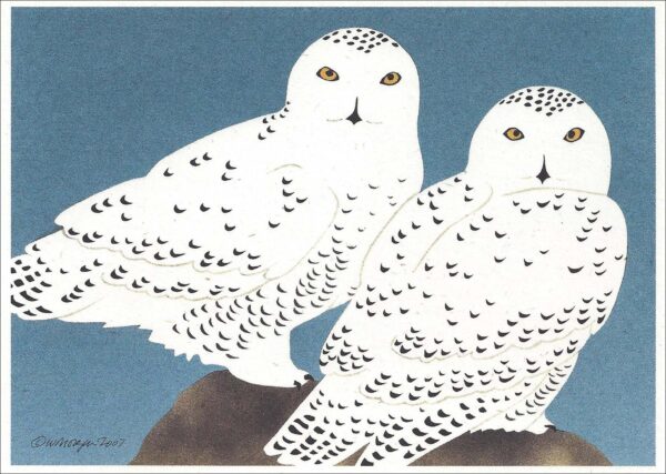 NC260 Snowy Owls Notecard