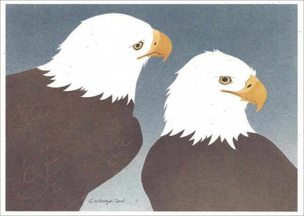 NC262 Bald Eagles Notecard