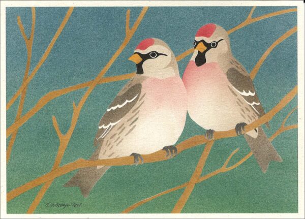 NC265Common Redpolls Notecard