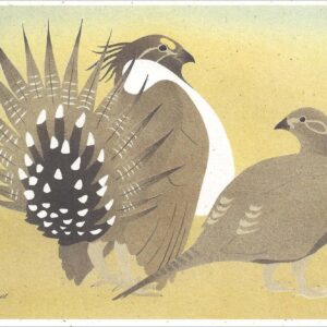 NC267 Greater Sage Grouse Notecard