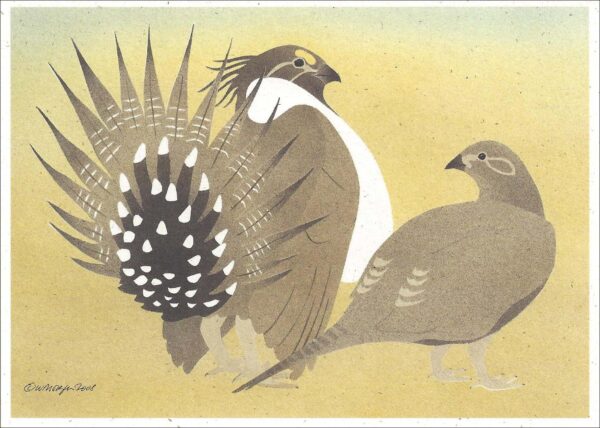 NC267 Greater Sage Grouse Notecard