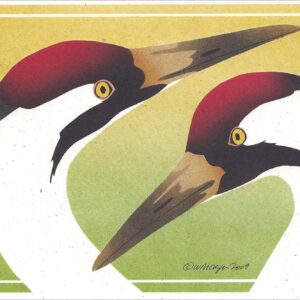 NC268 Whooping Cranes Notecard