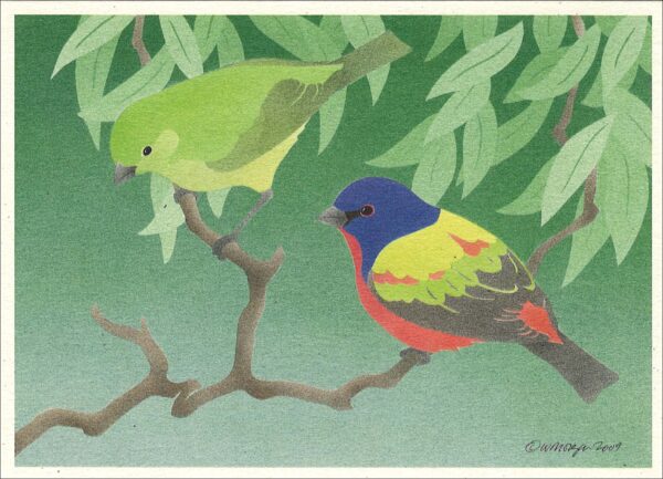 NC269 Painted Buntings Notecard