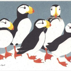 NC271 Horned Puffins Notecard