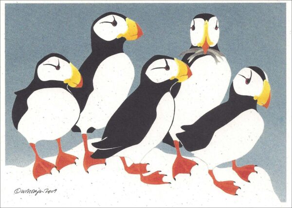 NC271 Horned Puffins Notecard