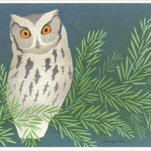 NC273 Screech Owl Notecards