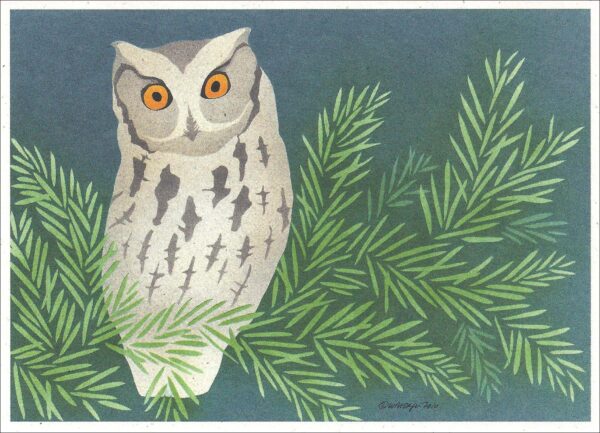 NC273 Screech Owl Notecards